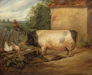 Porträt eines preisgekrönten Schweins, Eigentum von Squire Weston aus Essex, 1810